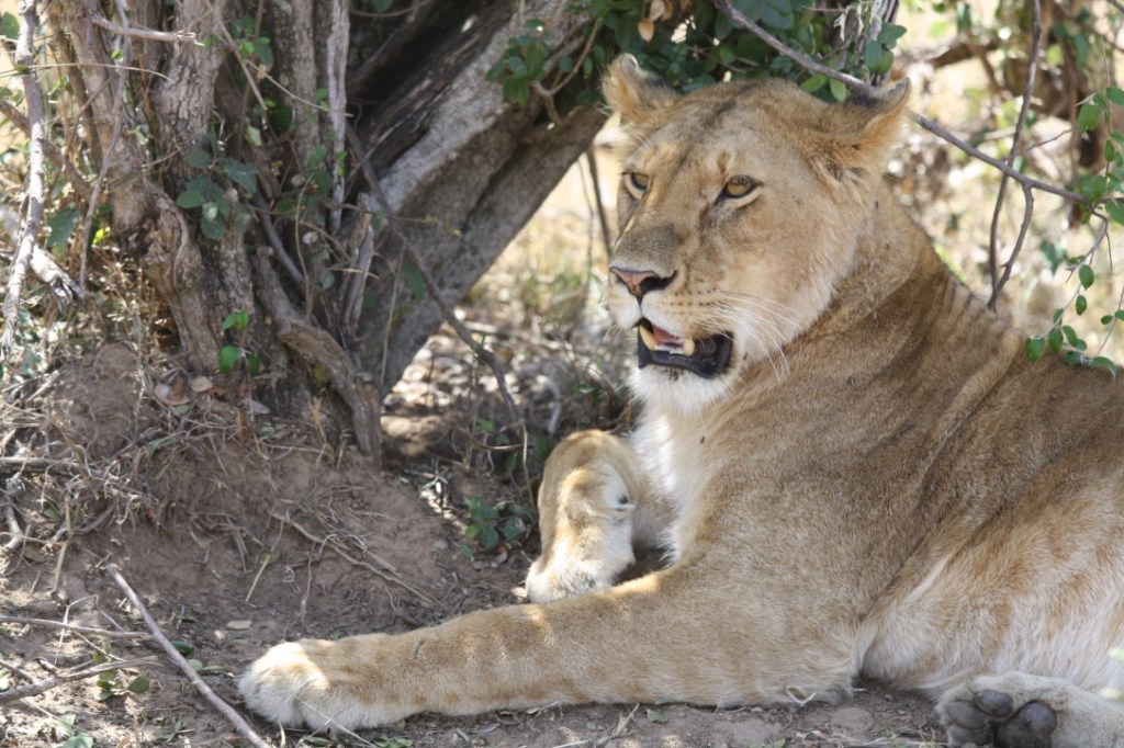 Overland Africa – The Spell of&nbsp;Kenya